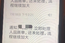 呼伦贝尔为什么选择专业追讨公司来处理您的债务纠纷？